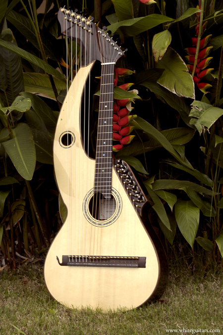 21 string shop harp guitar