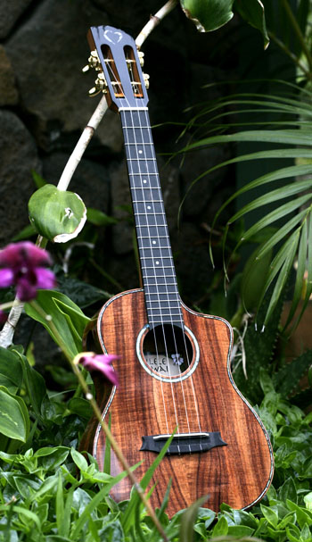 Ukulele Pu