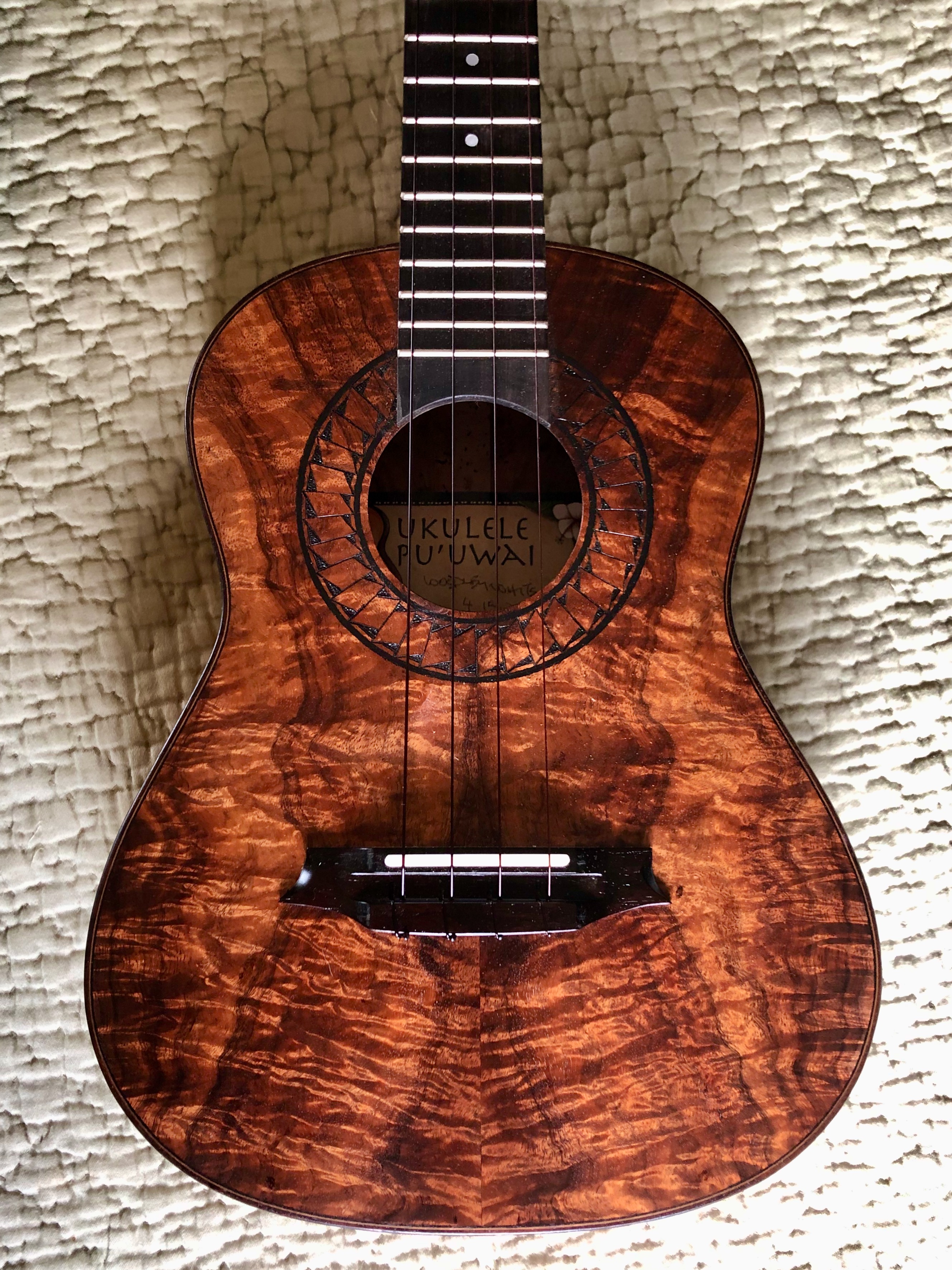 Windswept mærke Korrespondance Curly Koa Ukulele with Hawaiian Tattoo rosette - White Guitars